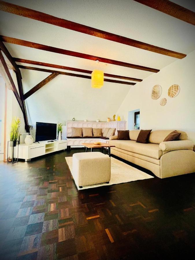 Chris & Aris Ferienwohnung Waldshut Zentrum Eksteriør billede